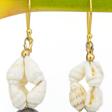 Load image into Gallery viewer, CONTACT US TO RECREATE THIS SOLD OUT STYLE Civa Fiji Pearl &amp; Shell Earrings - 18k Gold Vermeil FJD$
