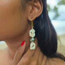 Load image into Gallery viewer, READY TO SHIP Civa Fiji Pearl &amp; Shell Earrings - 18k Gold Vermeil FJD$
