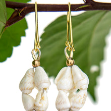 Load image into Gallery viewer, READY TO SHIP Civa Fiji Pearl &amp; Shell Earrings - 18k Gold Vermeil FJD$
