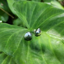 Load image into Gallery viewer, READY TO SHIP - Fiji Keshi Pearl Stud Earrings - 925 Sterling Silver FJD$
