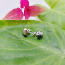 Load image into Gallery viewer, READY TO SHIP - Fiji Keshi Pearl Stud Earrings - 925 Sterling Silver FJD$
