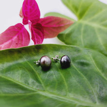 Load image into Gallery viewer, READY TO SHIP - Fiji Keshi Pearl Stud Earrings - 925 Sterling Silver FJD$
