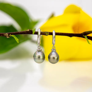 CONTACT US TO RECREATE THIS SOLD OUT STYLE Fiji Pearl Huggie Earrings - 925 Sterling Silver FJD$