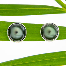 Load image into Gallery viewer, READY TO SHIP Civa Fiji Bezel Set Pearl Stud Earrings - 925 Sterling Silver FJD$
