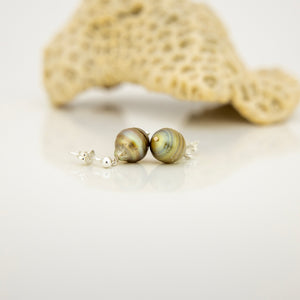 READY TO SHIP Civa Fiji Pearl Stud Earrings - 925 Sterling Silver FJD$