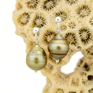 READY TO SHIP Civa Fiji Pearl Stud Earrings - 925 Sterling Silver FJD$