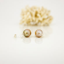 Load image into Gallery viewer, READY TO SHIP Civa Fiji Pearl Stud Earrings - 925 Sterling Silver FJD$
