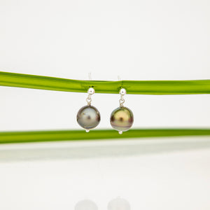 READY TO SHIP Civa Fiji Pearl Stud Earrings - 925 Sterling Silver FJD$