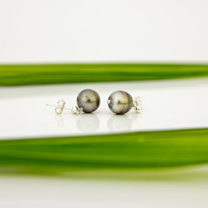 READY TO SHIP Civa Fiji Pearl Stud Earrings - 925 Sterling Silver FJD$