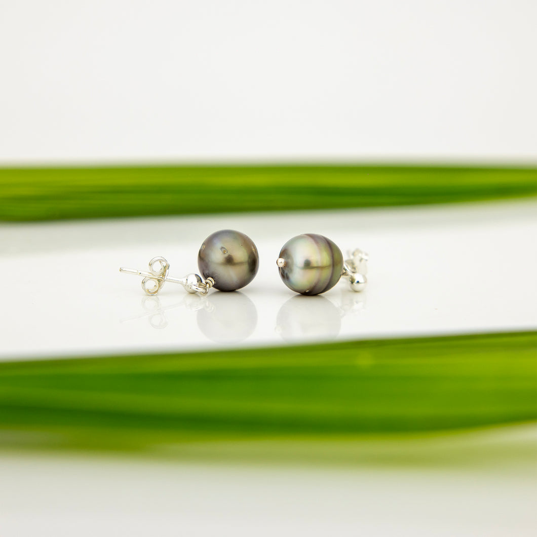 READY TO SHIP Civa Fiji Pearl Stud Earrings - 925 Sterling Silver FJD$