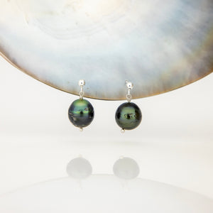 READY TO SHIP Civa Fiji Pearl Stud Earrings - 925 Sterling Silver FJD$
