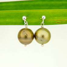 Load image into Gallery viewer, READY TO SHIP Civa Fiji Pearl Stud Earrings - 925 Sterling Silver FJD$
