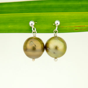 READY TO SHIP Civa Fiji Pearl Stud Earrings - 925 Sterling Silver FJD$