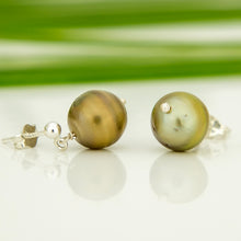 Load image into Gallery viewer, READY TO SHIP Civa Fiji Pearl Stud Earrings - 925 Sterling Silver FJD$
