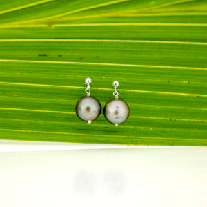 READY TO SHIP Civa Fiji Pearl Stud Earrings - 925 Sterling Silver FJD$