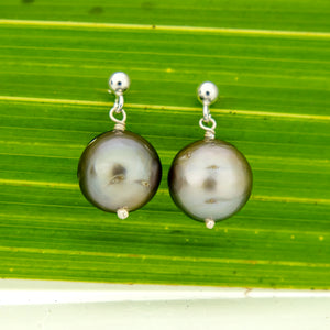 READY TO SHIP Civa Fiji Pearl Stud Earrings - 925 Sterling Silver FJD$