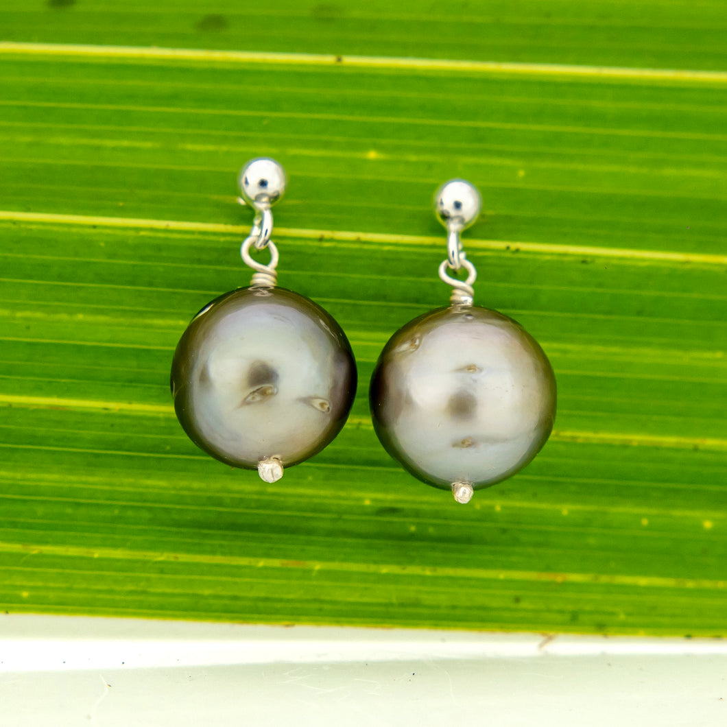 READY TO SHIP Civa Fiji Pearl Stud Earrings - 925 Sterling Silver FJD$