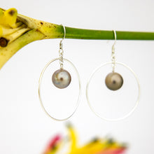 Load image into Gallery viewer, READY TO SHIP Civa Fiji Saltwater Pearl Hoop Earrings - 925 Sterling Silver FJD$
