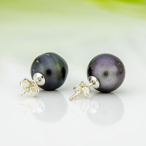 READY TO SHIP Civa Fiji Pearl Stud Earrings - 925 Sterling Silver FJD$