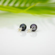 Load image into Gallery viewer, READY TO SHIP Civa Fiji Pearl Stud Earrings - 925 Sterling Silver FJD$
