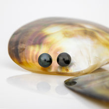 Load image into Gallery viewer, READY TO SHIP Civa Fiji Pearl Stud Earrings - 925 Sterling Silver FJD$
