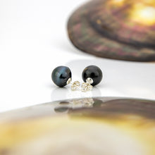 Load image into Gallery viewer, READY TO SHIP Civa Fiji Pearl Stud Earrings - 925 Sterling Silver FJD$
