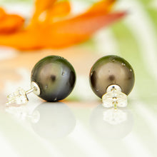 Load image into Gallery viewer, READY TO SHIP Civa Fiji Pearl Stud Earrings - 925 Sterling Silver FJD$
