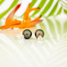 Load image into Gallery viewer, READY TO SHIP Civa Fiji Pearl Stud Earrings - 925 Sterling Silver FJD$
