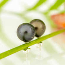 Load image into Gallery viewer, READY TO SHIP Civa Fiji Pearl Stud Earrings - 925 Sterling Silver FJD$
