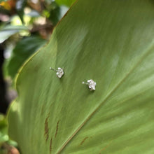 Load image into Gallery viewer, READY TO SHIP Civa Fiji Pearl Stud Earrings with Pikake Flowers - 925 Sterling Silver FJD$
