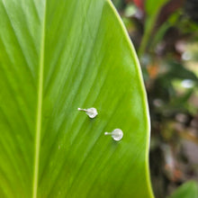 Load image into Gallery viewer, CONTACT US TO RECREATE THIS SOLD OUT STYLE Civa Fiji Pearl Stud Earrings - 925 Sterling Silver FJD$
