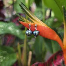 Load image into Gallery viewer, READY TO SHIP - Freshwater Pearl Stud Earrings - 925 Sterling Silver FJD$
