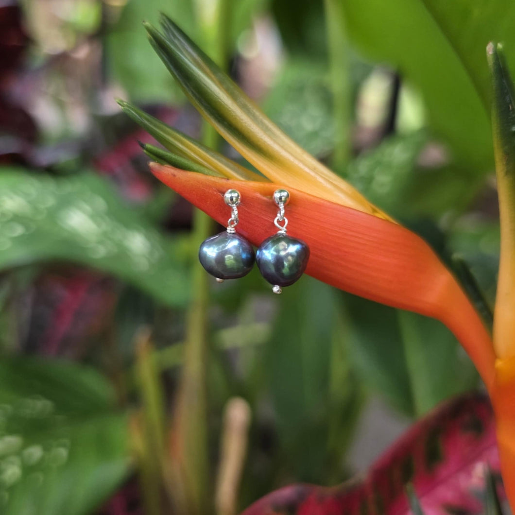 READY TO SHIP - Freshwater Pearl Stud Earrings - 925 Sterling Silver FJD$
