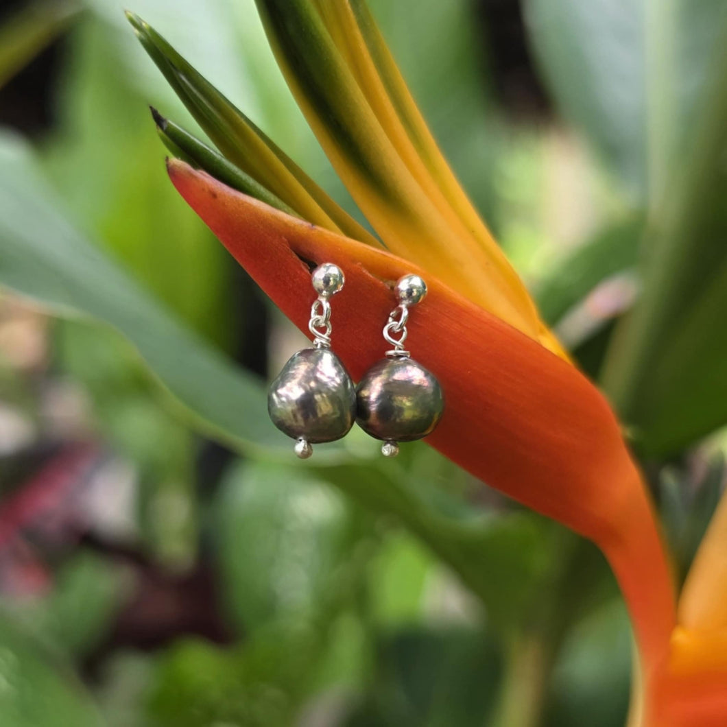 READY TO SHIP - Freshwater Pearl Stud Earrings - 925 Sterling Silver FJD$