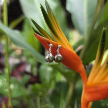 Load image into Gallery viewer, READY TO SHIP - Freshwater Pearl Stud Earrings - 925 Sterling Silver FJD$
