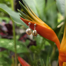 Load image into Gallery viewer, READY TO SHIP - Freshwater Pearl Stud Earrings - 925 Sterling Silver FJD$

