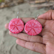 Load image into Gallery viewer, READY TO SHIP Starfish Resin Earrings - 925 Sterling Silver FJD$
