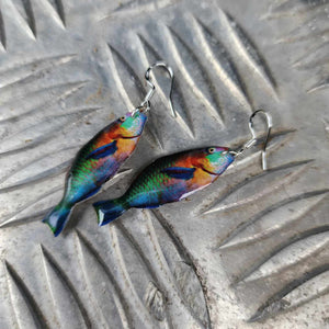 READY TO SHIP Parrot Fish Resin Earrings - 925 Sterling Silver FJD$