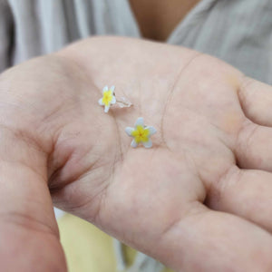 READY TO SHIP Frangipani Flower Stud Earrings - 925 Sterling Silver FJD$