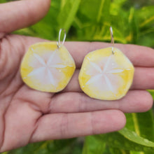 Load image into Gallery viewer, READY TO SHIP Sand Dollar Resin Earrings - 925 Sterling Silver FJD$
