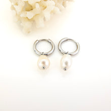 Load image into Gallery viewer, READY TO SHIP Freshwater Pearl Hoop Earrings - Stainless Steel FJD$
