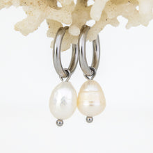 Load image into Gallery viewer, READY TO SHIP Freshwater Pearl Hoop Earrings - Stainless Steel FJD$
