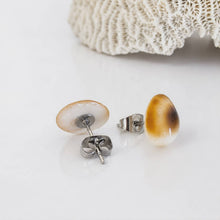 Load image into Gallery viewer, Shell Stud Earrings - Stainless Steel FJD$
