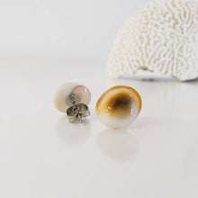 Load image into Gallery viewer, Shell Stud Earrings - Stainless Steel FJD$
