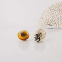 Load image into Gallery viewer, Shell Stud Earrings - Stainless Steel FJD$
