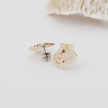Load image into Gallery viewer, Shell Stud Earrings - Stainless Steel FJD$
