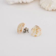 Load image into Gallery viewer, Shell Stud Earrings - Stainless Steel FJD$
