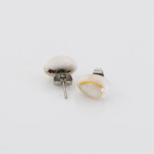 Load image into Gallery viewer, Shell Stud Earrings - Stainless Steel FJD$
