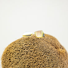 Load image into Gallery viewer, READY TO SHIP Mother of Pearl Stud Earrings - Stainless Steel FJD$
