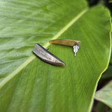 Load image into Gallery viewer, READY TO SHIP Mother of Pearl Stud Earrings - Stainless Steel FJD$
